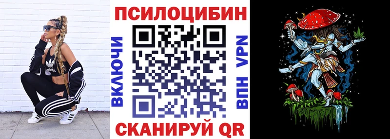 Купить где  Староминская  Галлюциногенные грибы MAGIC MUSHROOMS 